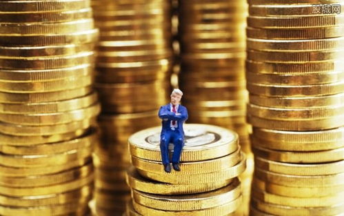 净值型与收益型理财 如何评估安全性？投资管理核心要点解析