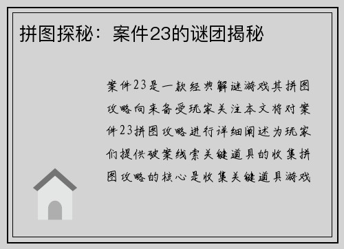 拼图探秘：案件23的谜团揭秘